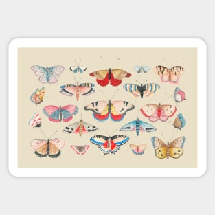 Vintage  pretty Butterflies Sticker